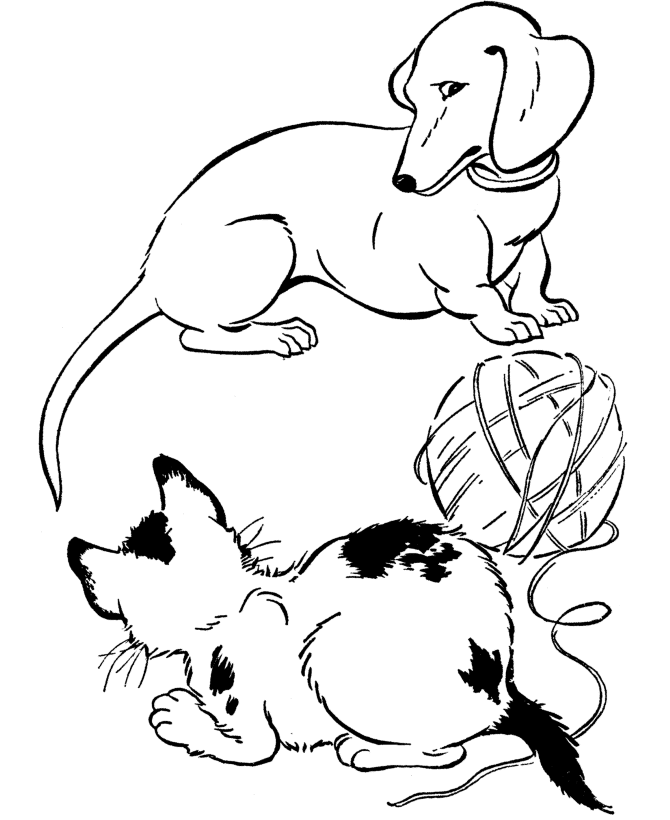cat and kitten coloring pages christmas cat and cardinal coloring page crayolacom pages cat and coloring kitten 