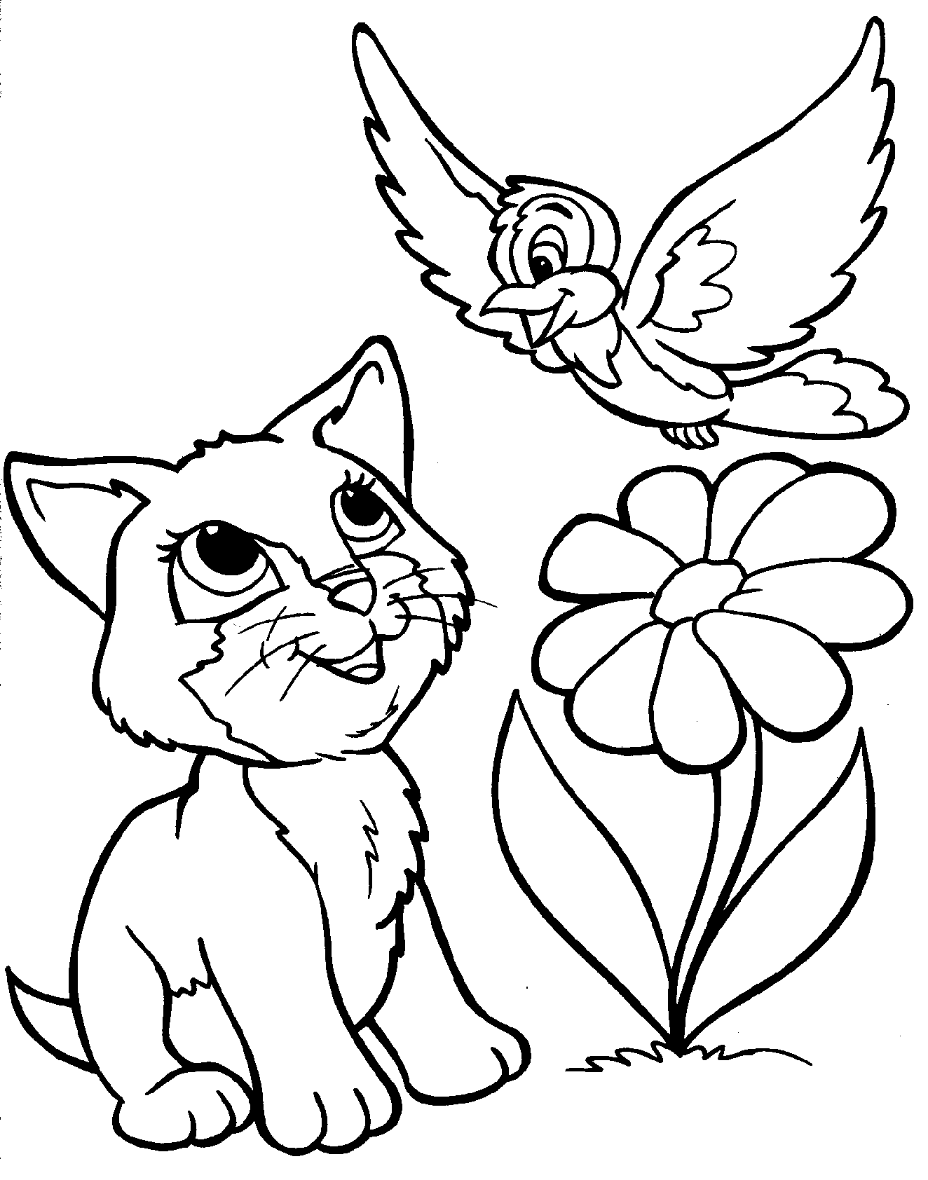 cat color page cat coloring pages only coloring pages page cat color 