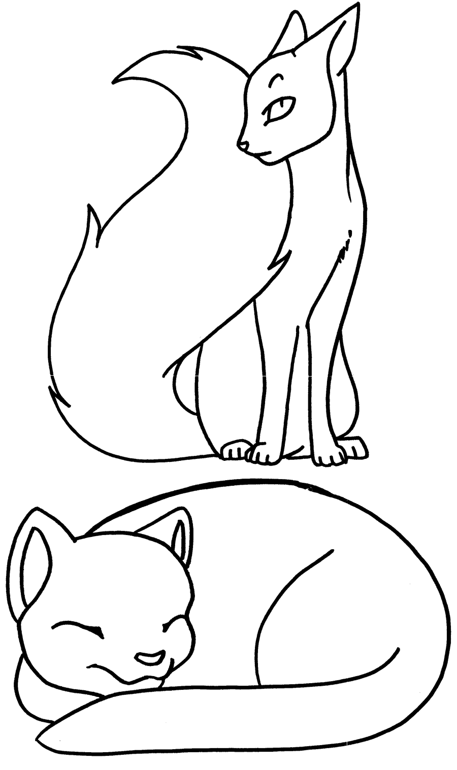cat color page coloring pages for kids cat coloring pages for kids color cat page 