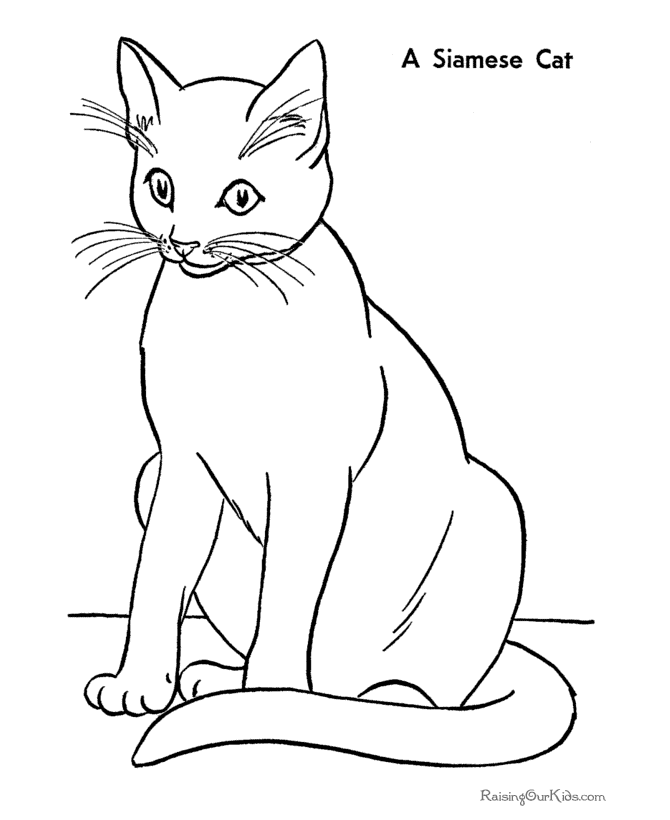 cat coloring pages free printable free printable cat coloring pages for kids coloring cat printable free pages 