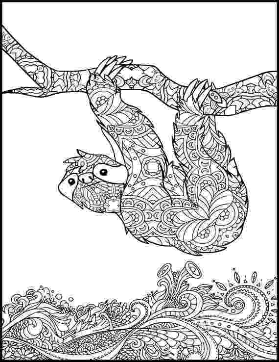 cheetah coloring pages for adults adult coloring pages animals best coloring pages for kids for adults pages coloring cheetah 