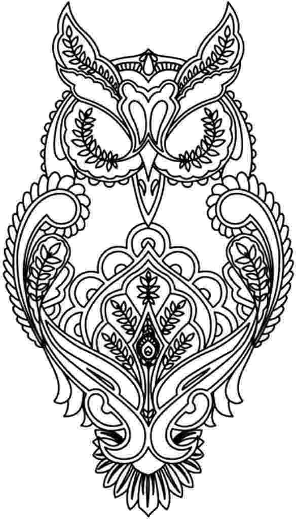 cheetah coloring pages for adults animal coloring pages for adults best coloring pages for adults cheetah for pages coloring 