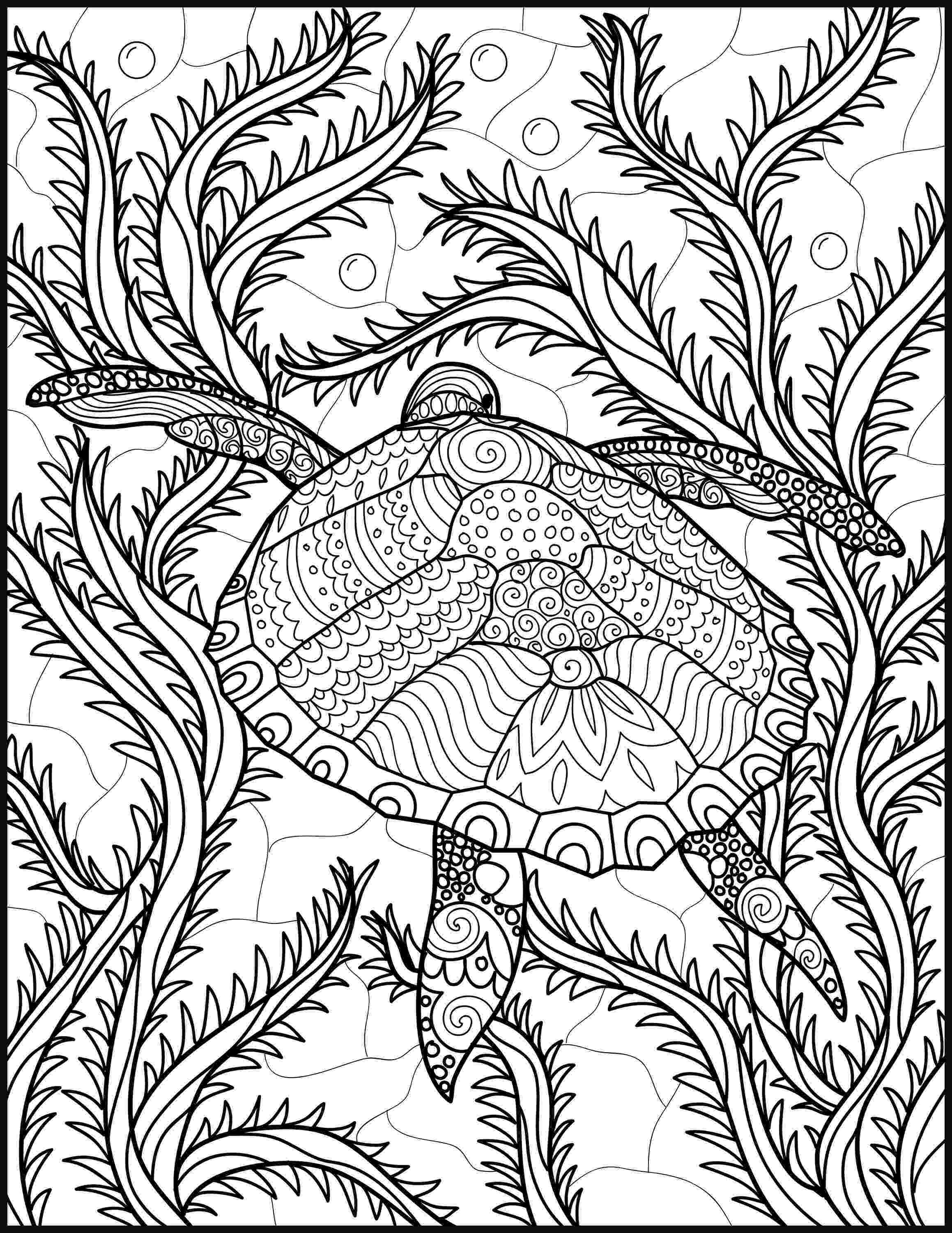 cheetah coloring pages for adults free jaguar coloring pages adults for pages coloring cheetah 