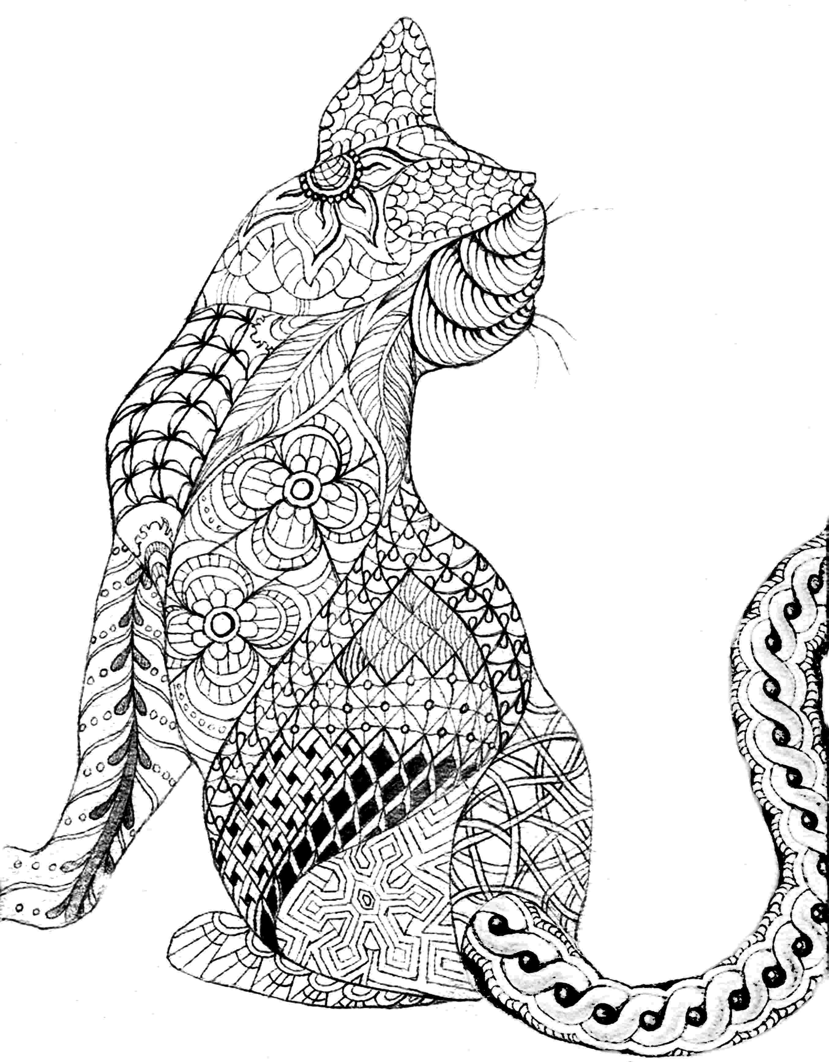 cheetah coloring pages for adults free printable adult coloring pages cheetah for coloring adults pages 