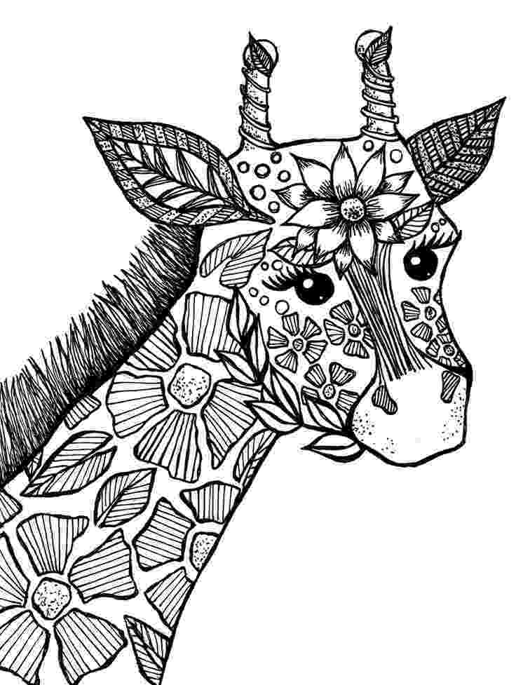 cheetah coloring pages for adults giraffe adult coloring book page drawings i39ve made adults cheetah for coloring pages 