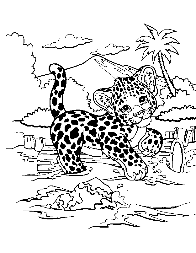 cheetah coloring pages for adults grown up coloring pages to download and print for free cheetah pages coloring adults for 