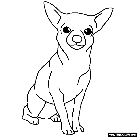 chihuahua coloring page chihuahua coloring pages coloring chihuahua page 
