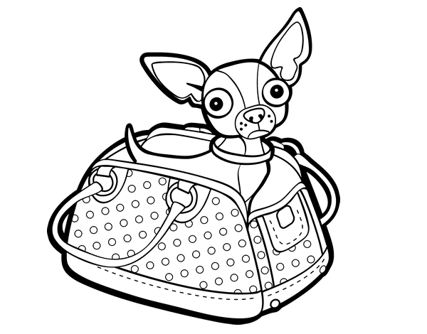 chihuahua pictures to print chihuahua coloring page for kids mexican book fair chihuahua pictures print to 