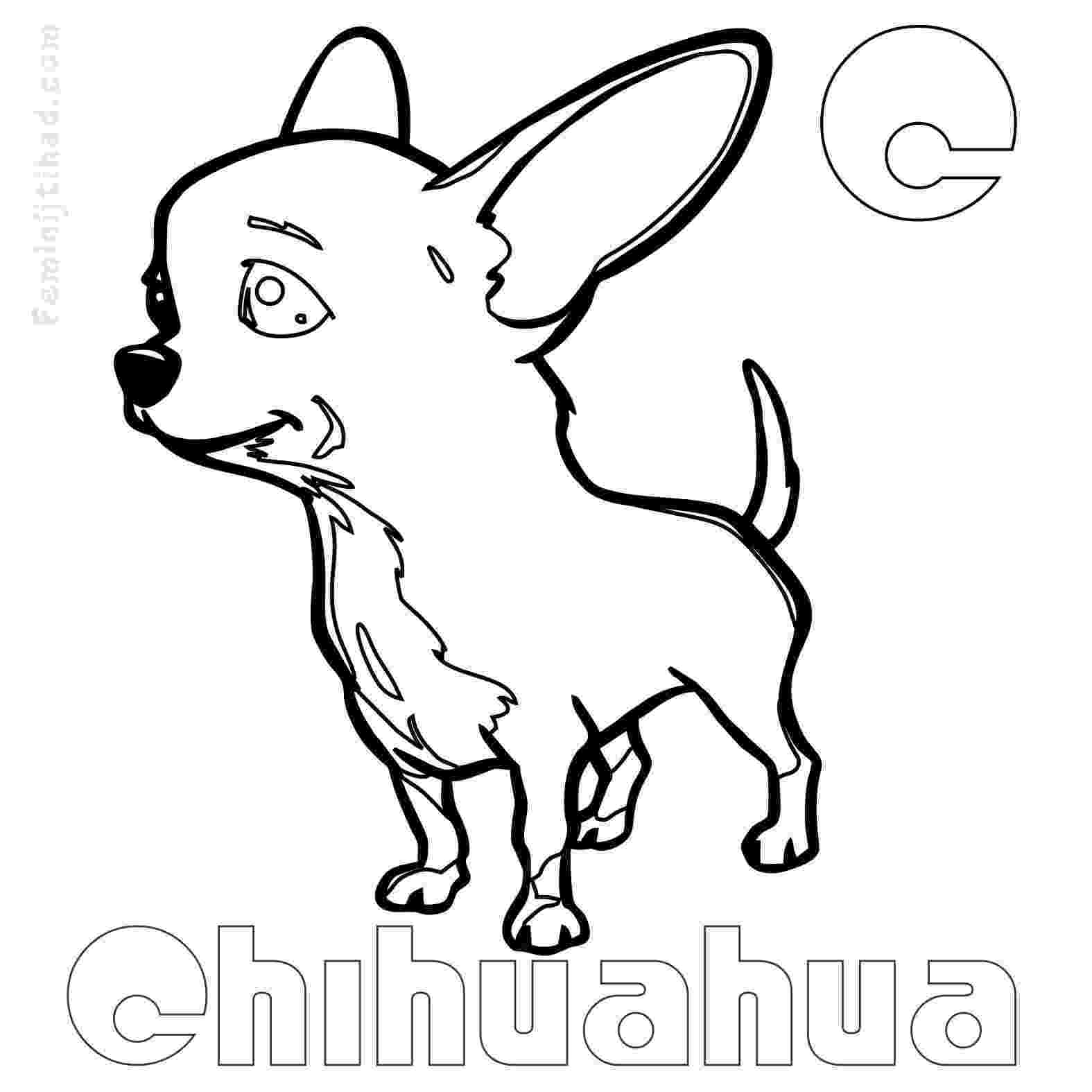 chihuahua pictures to print chihuahua coloring pages pictures chihuahua print to 