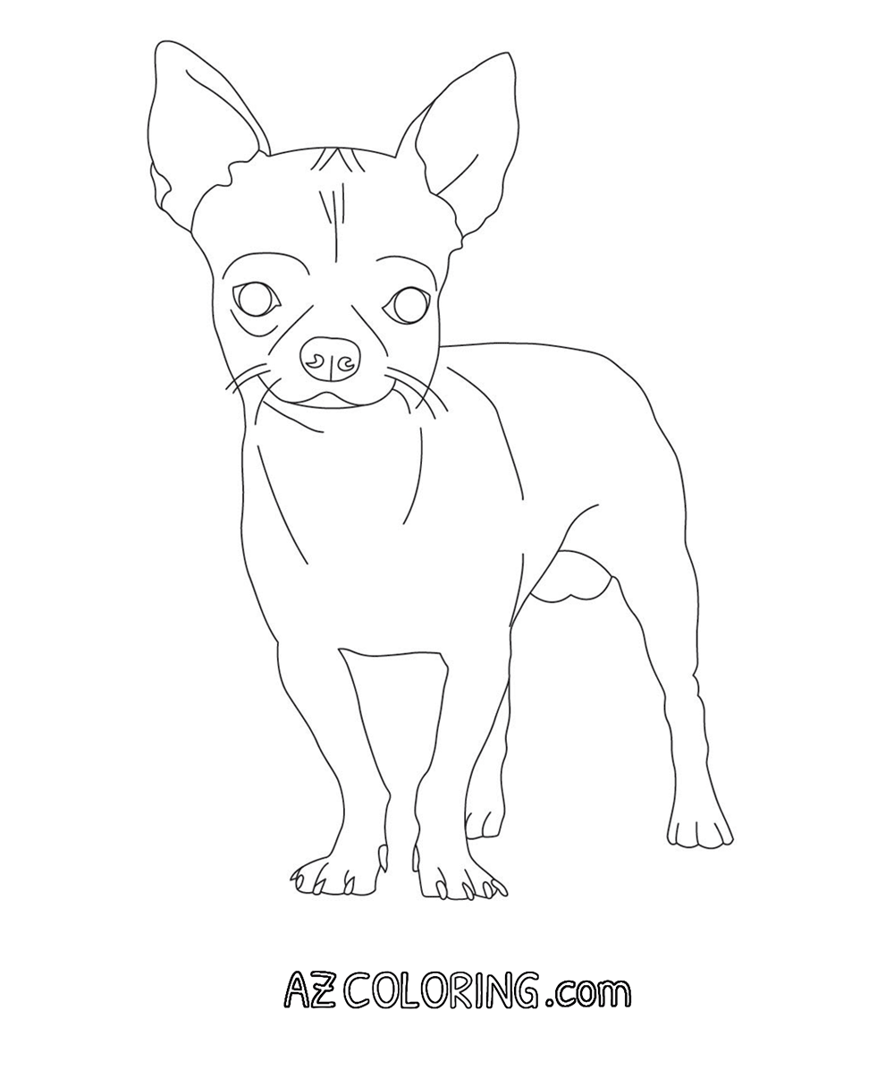 chihuahua pictures to print chihuahua coloring pages to download and print for free print chihuahua pictures to 