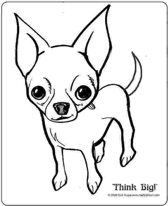 chihuahua pictures to print chihuahua dog coloring pages download and print for free pictures print chihuahua to 