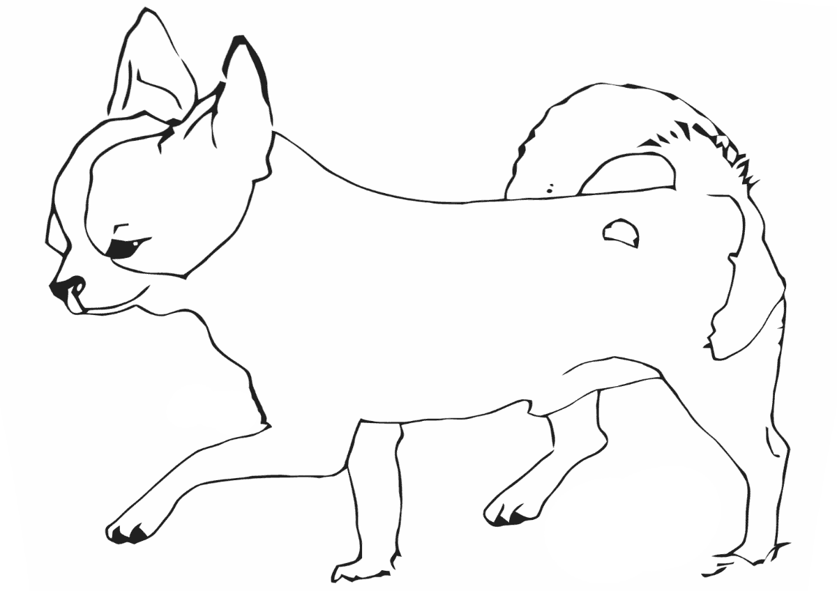 chihuahua pictures to print chihuahua dog coloring pages download and print for free to pictures chihuahua print 