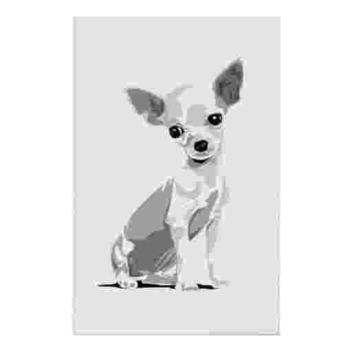 chihuahua pictures to print chihuahua dog coloring pages download and print for free to print chihuahua pictures 