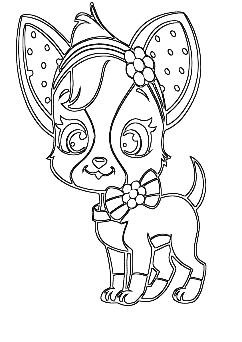 chihuahua pictures to print chihuahua pages coloring pages chihuahua to print pictures 