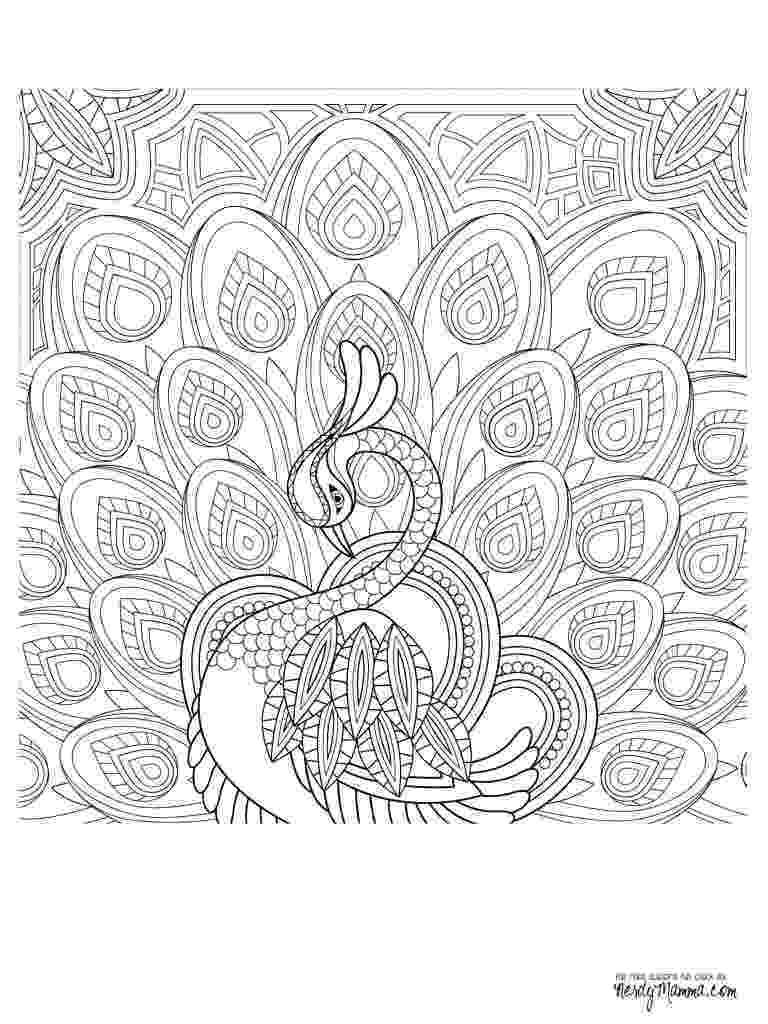 chocolate bar coloring page amazing idea chocolate bar coloring page color sheets free page chocolate bar coloring 