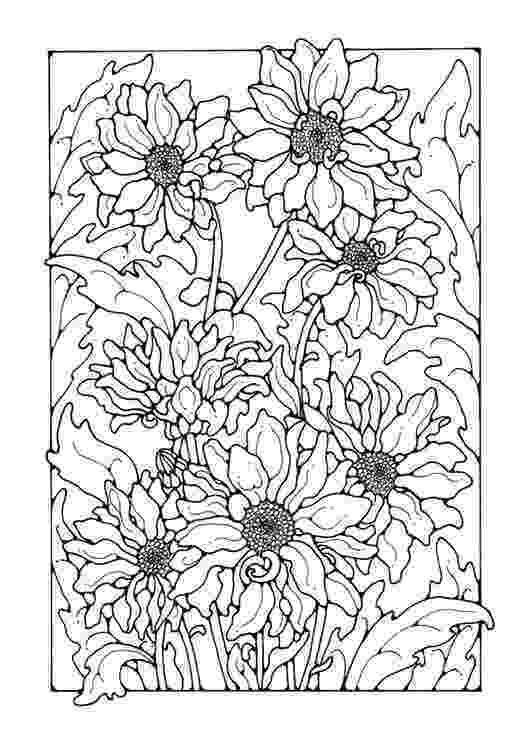 chrysanthemum coloring page garden of chrysanthemum coloring page garden of page coloring chrysanthemum 