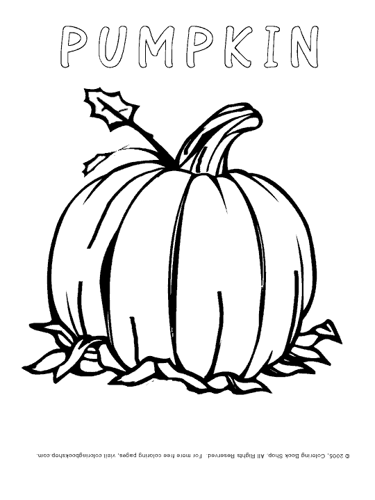 color a pumpkin free printable pumpkin coloring pages for kids color a pumpkin 