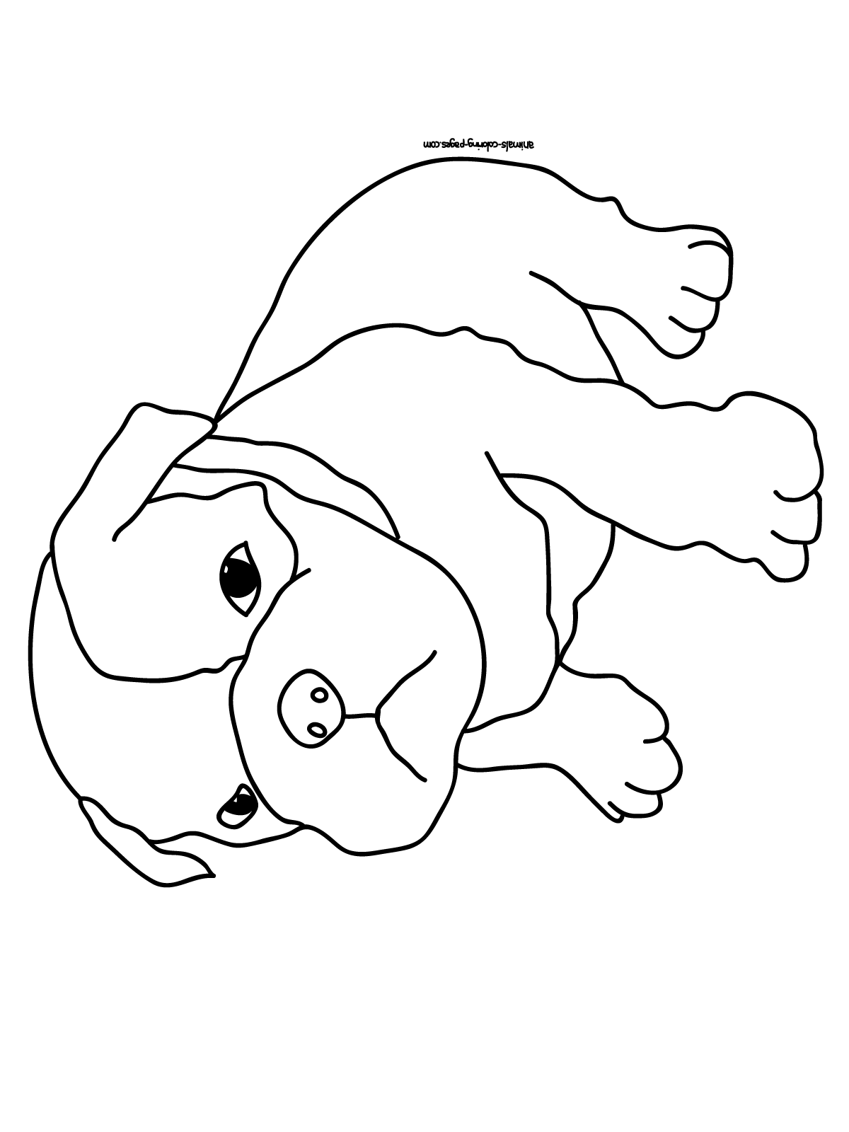color dogs dogs online coloring pages page 1 dogs color 
