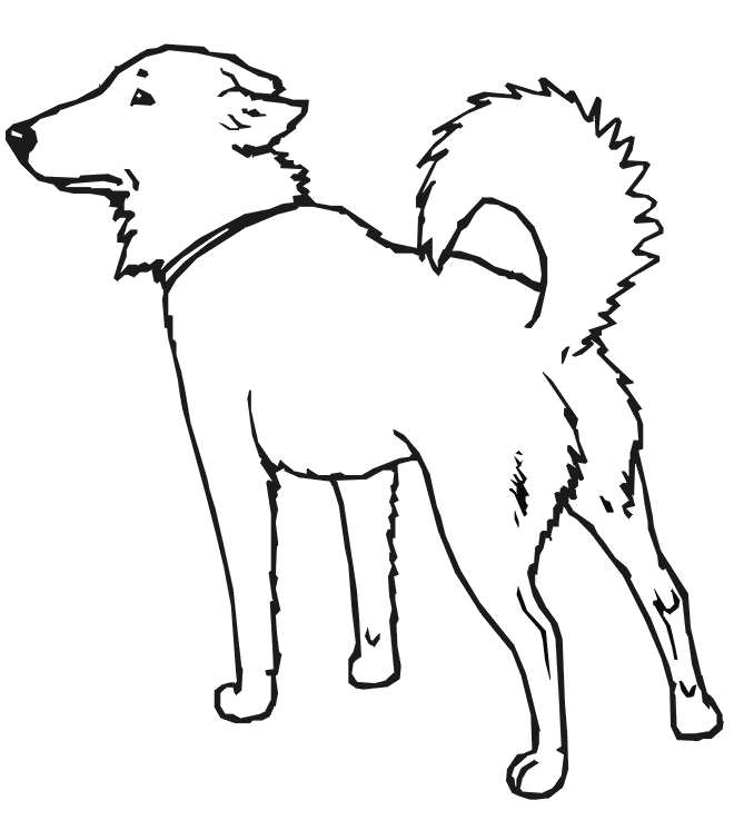 color dogs free printable dog coloring pages for kids dogs color 1 3