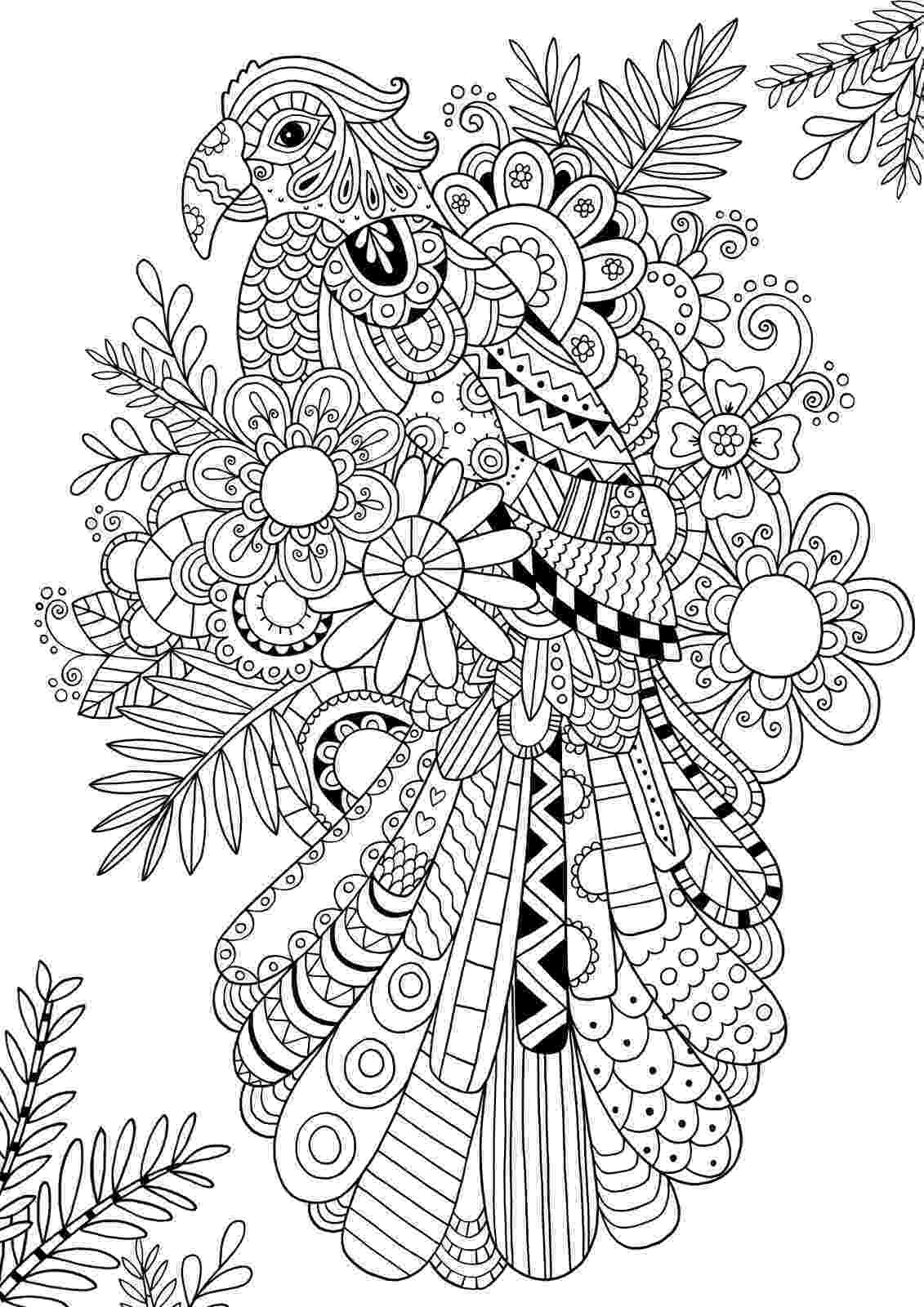 color zentangle image from httpbloghobbycraftcoukwp contentuploads zentangle color 