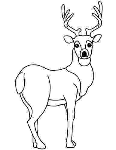 coloring book deer for education new animal deer coloring pages coloring deer book 