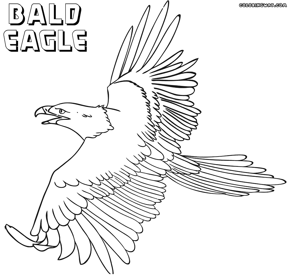 coloring book eagle eagle coloring pages coloring pages to download and print coloring eagle book 