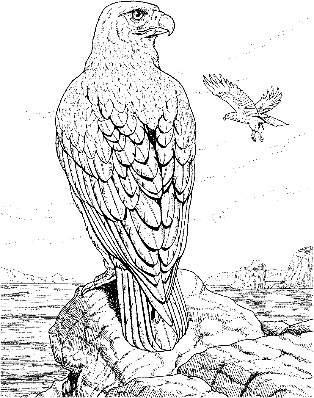 coloring book eagle free eagle coloring pages book coloring eagle 