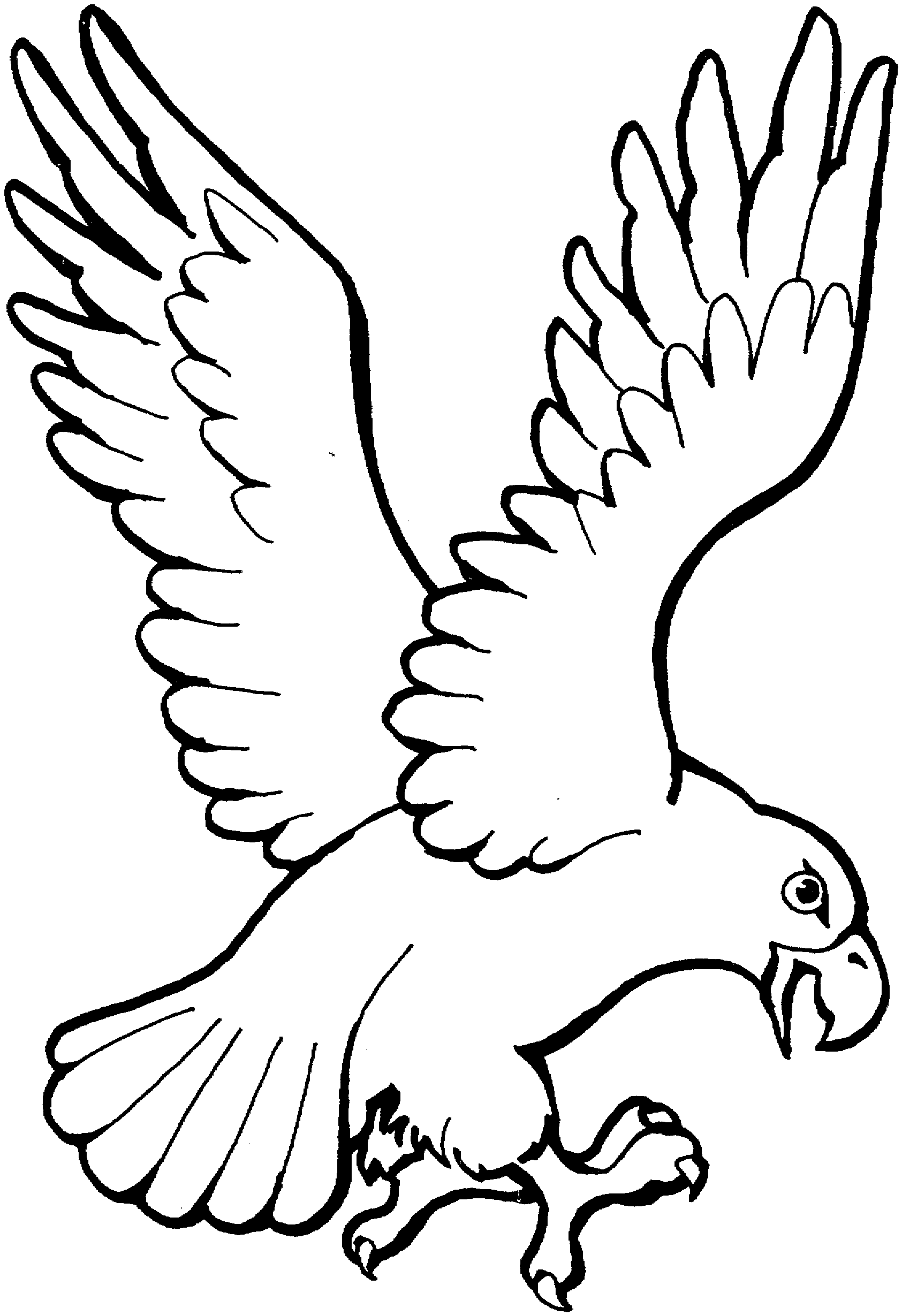 coloring book eagle free eagle coloring pages coloring eagle book 
