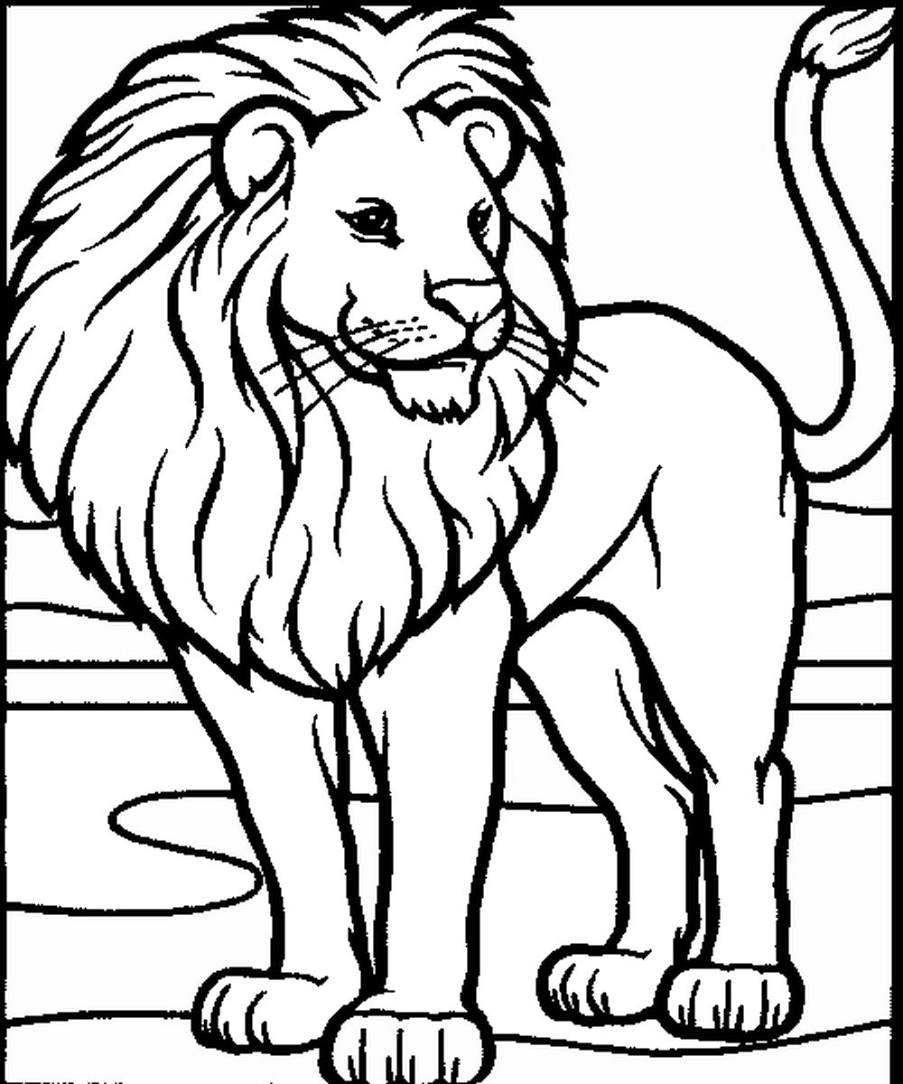 coloring book lion 3 printable pages for coloring for lion lovers coloring etsy coloring book lion 