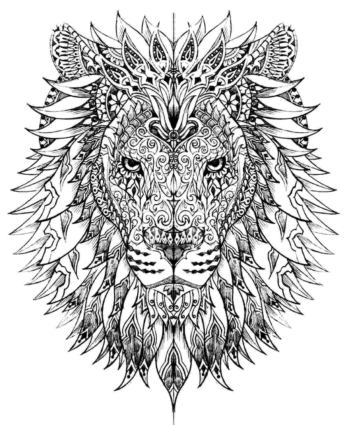 coloring book lion lion head lions adult coloring pages coloring book lion 