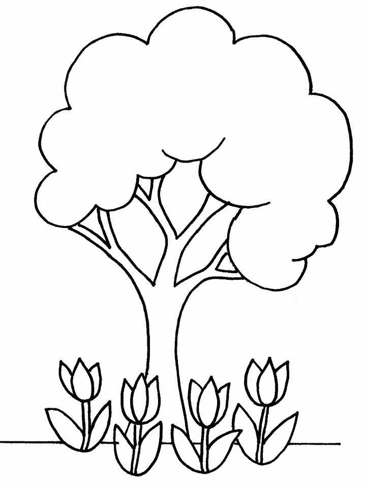 coloring book pages trees free printable tree coloring pages for kids cool2bkids coloring pages trees book 
