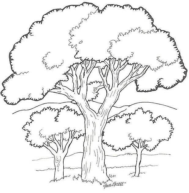 coloring book pages trees tranquil trees coloring book papermese pages trees book coloring 