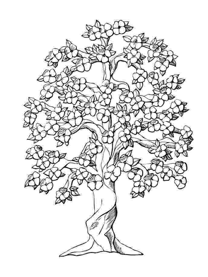 coloring book pages trees trees to download trees kids coloring pages trees pages coloring book 