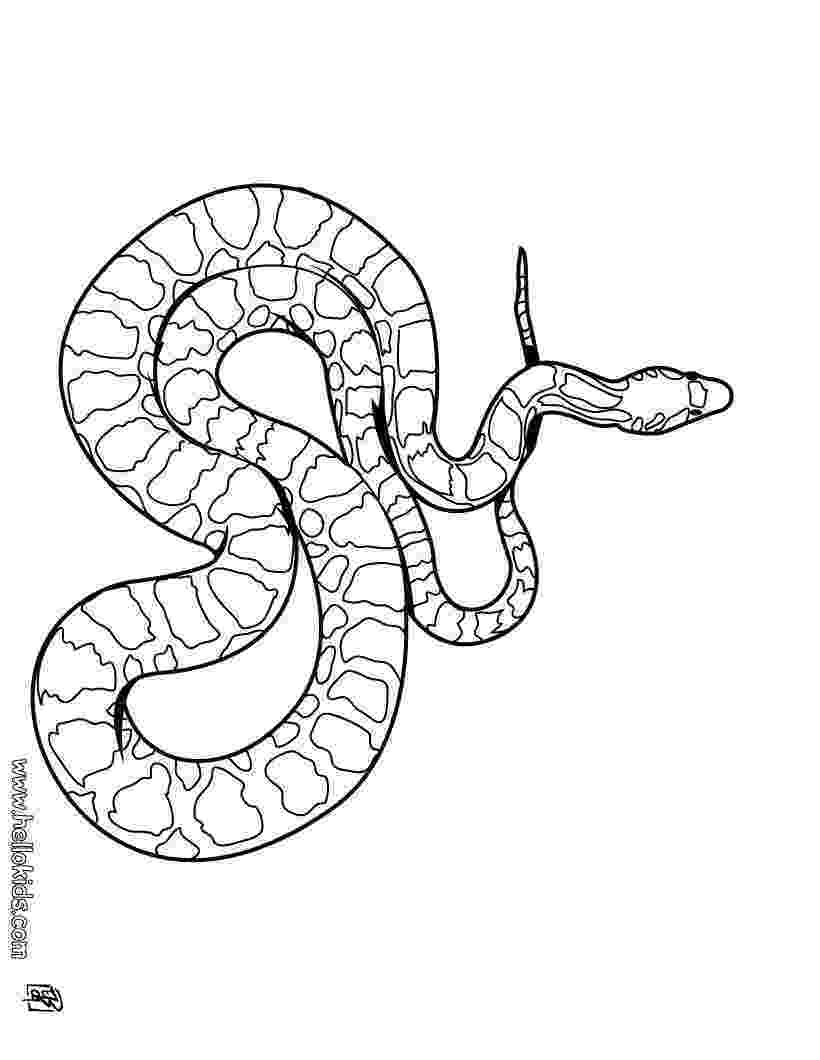 coloring book snake snake coloring pages book coloring snake 