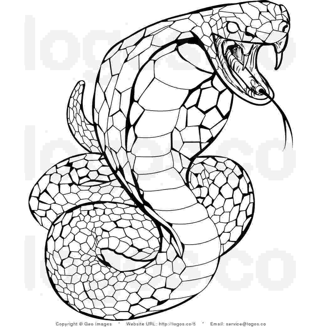 coloring book snake snake coloring pages free for children book coloring snake 