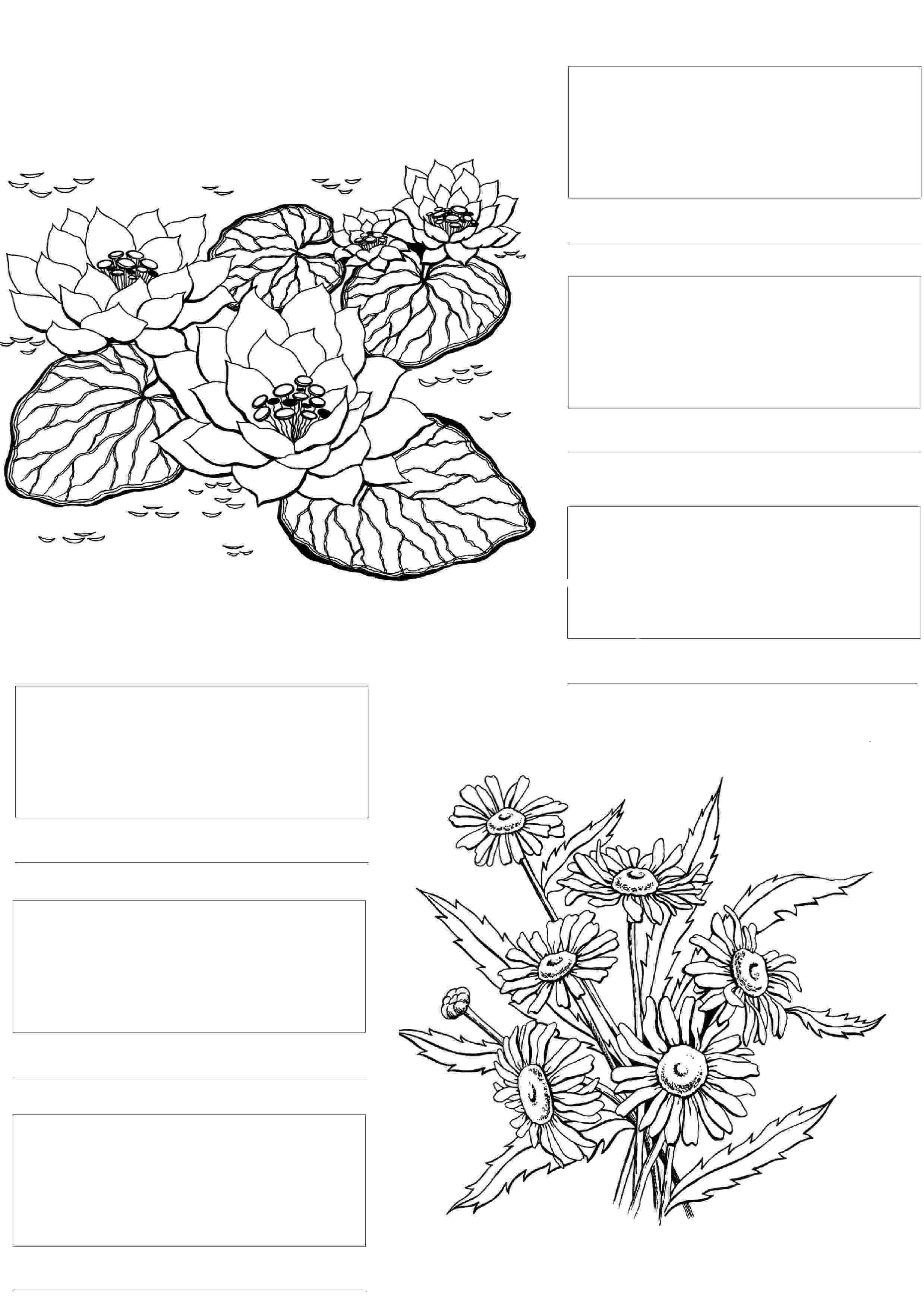 coloring flowers copic book beccy39s place bucket of blossoms flower coloring pages coloring flowers copic book 