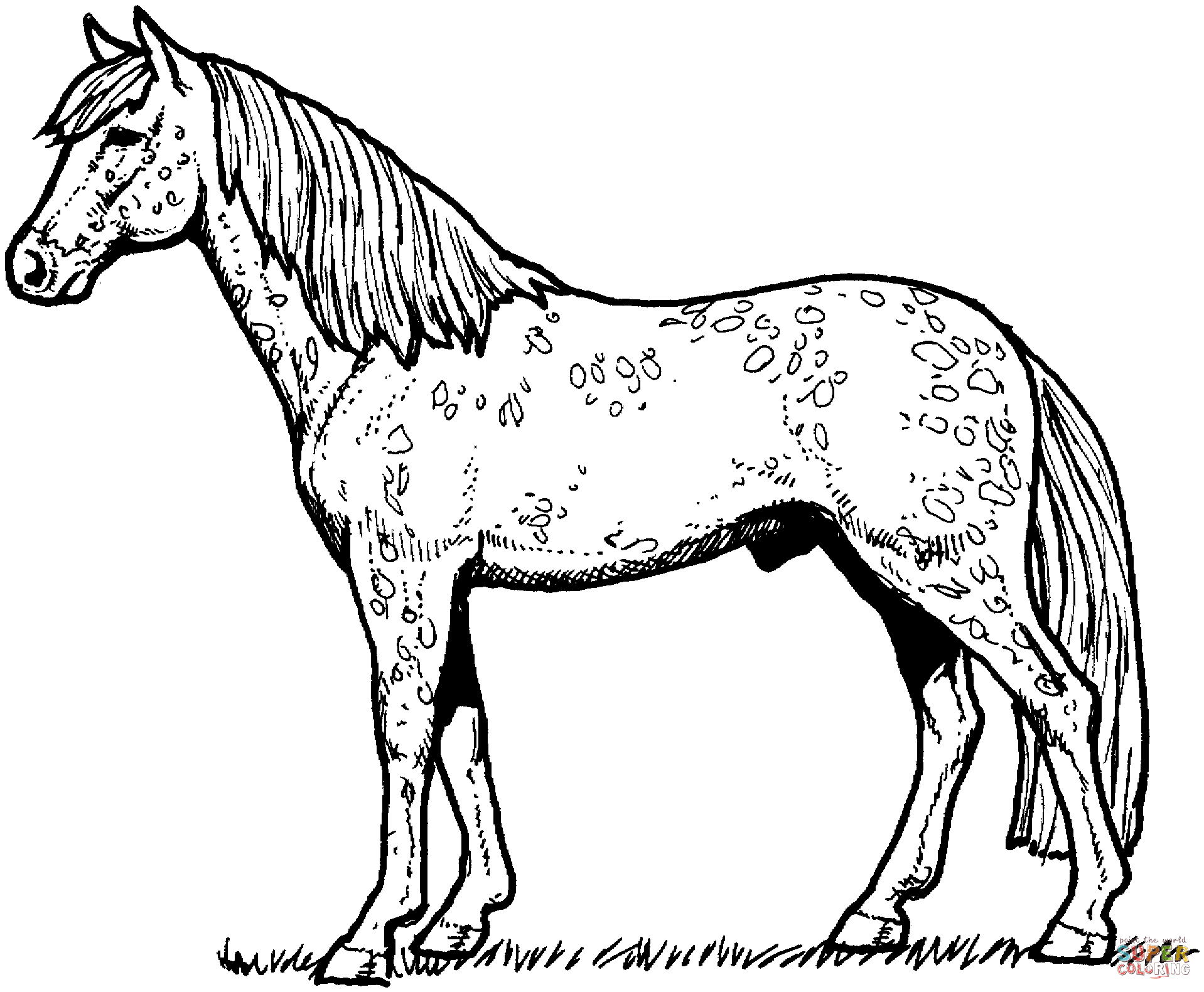 coloring horse realistic horse coloring pages to download and print for free horse coloring 