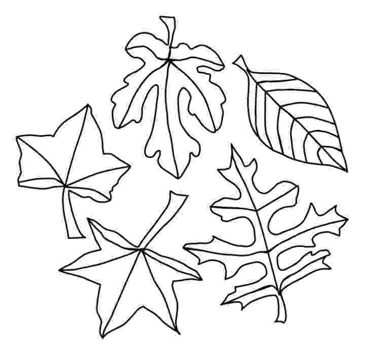 coloring leaves fall leaves coloring pages best coloring pages for kids leaves coloring 