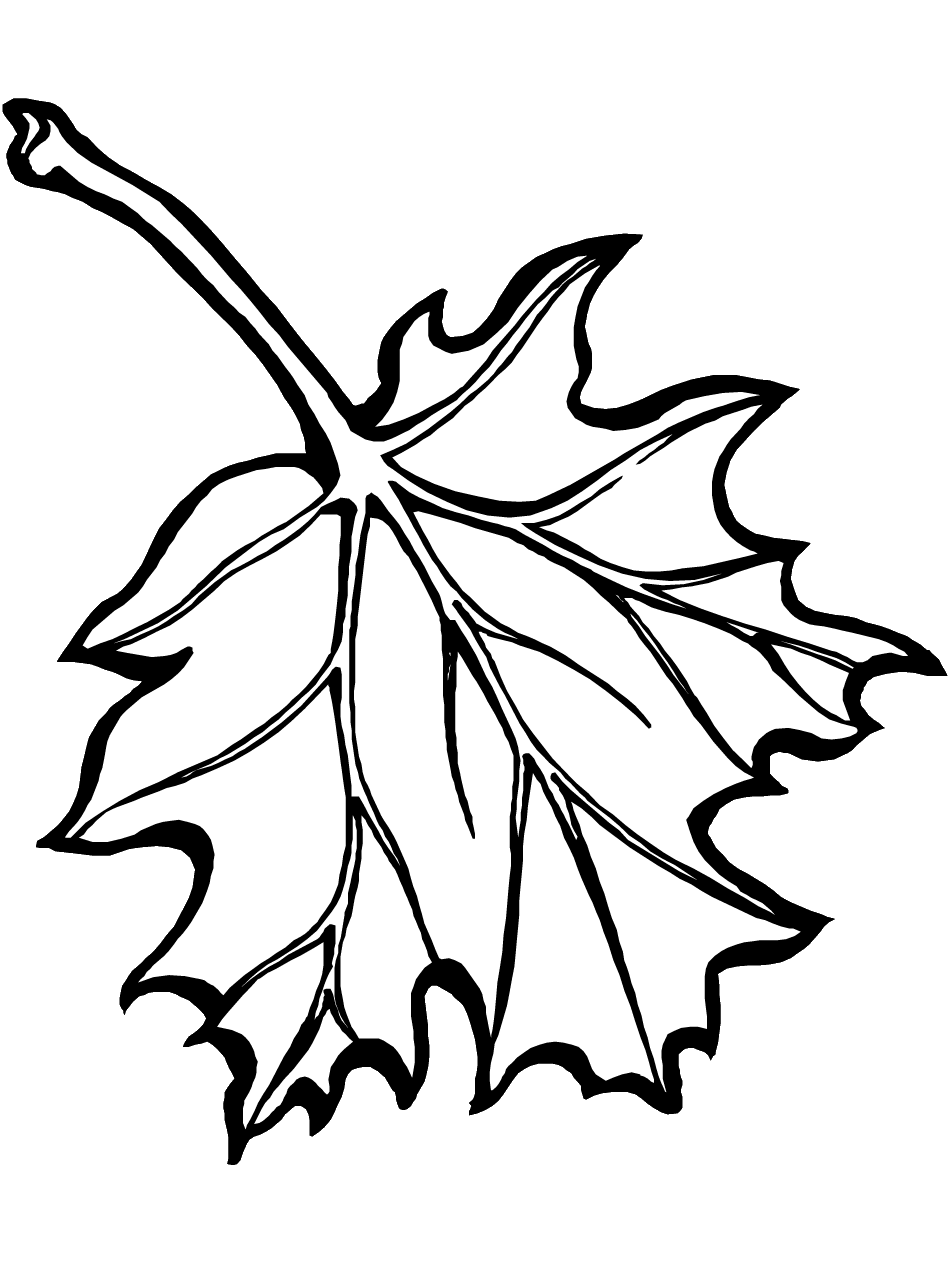 coloring leaves fall leaves coloring pages getcoloringpagescom coloring leaves 