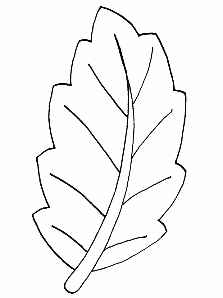 coloring leaves kids n funcom 39 coloring pages of leaves leaves coloring 