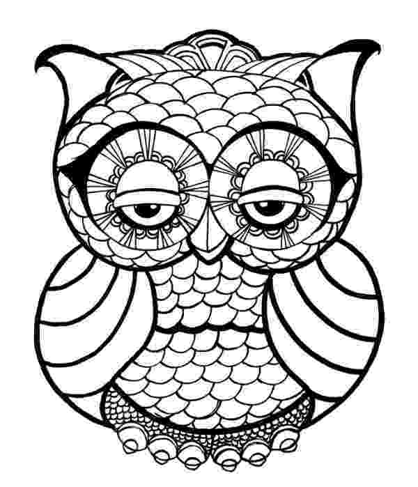 coloring owl free owl coloring pages coloring owl 