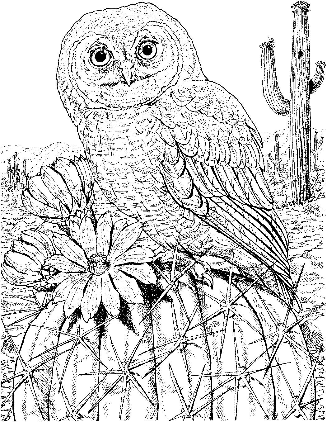 coloring owl owl coloring pages at getdrawings free download coloring owl 
