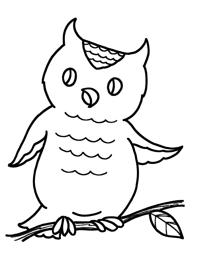 coloring owl owl coloring pages print free printable cute owl coloring owl coloring 