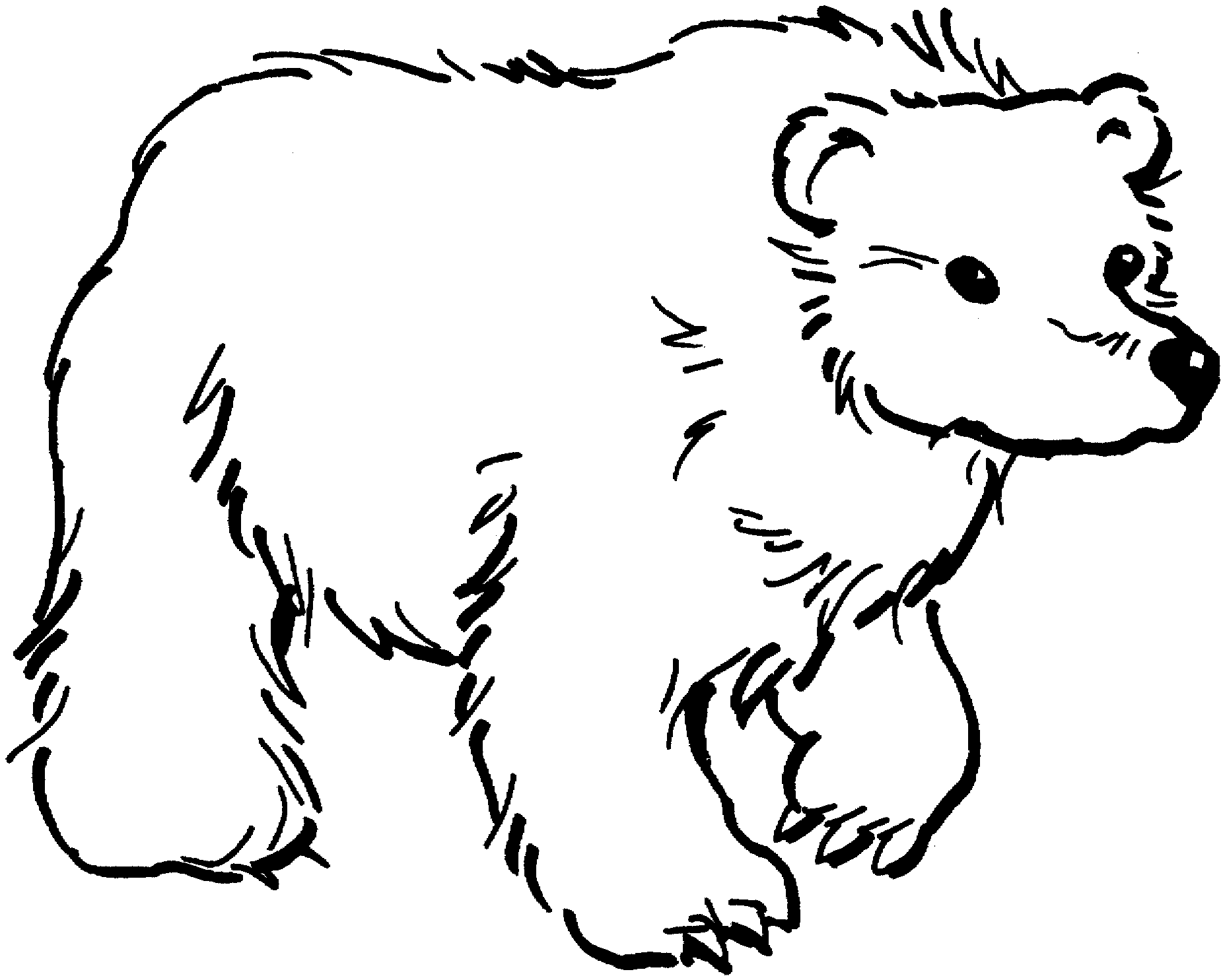 coloring page bear free bear coloring pages page bear coloring 