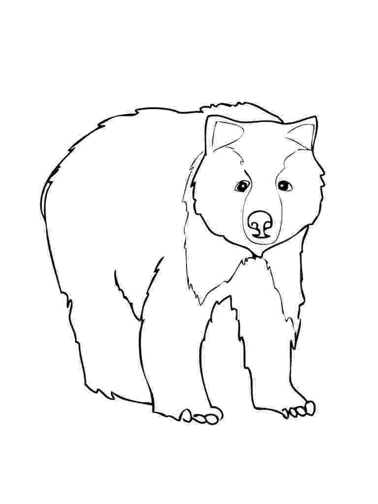 coloring page bear printable teddy bear coloring pages for kids cool2bkids coloring bear page 