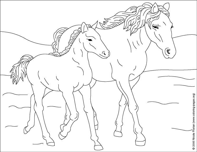coloring page horse coloring pages horse coloring pages free and printable coloring horse page 