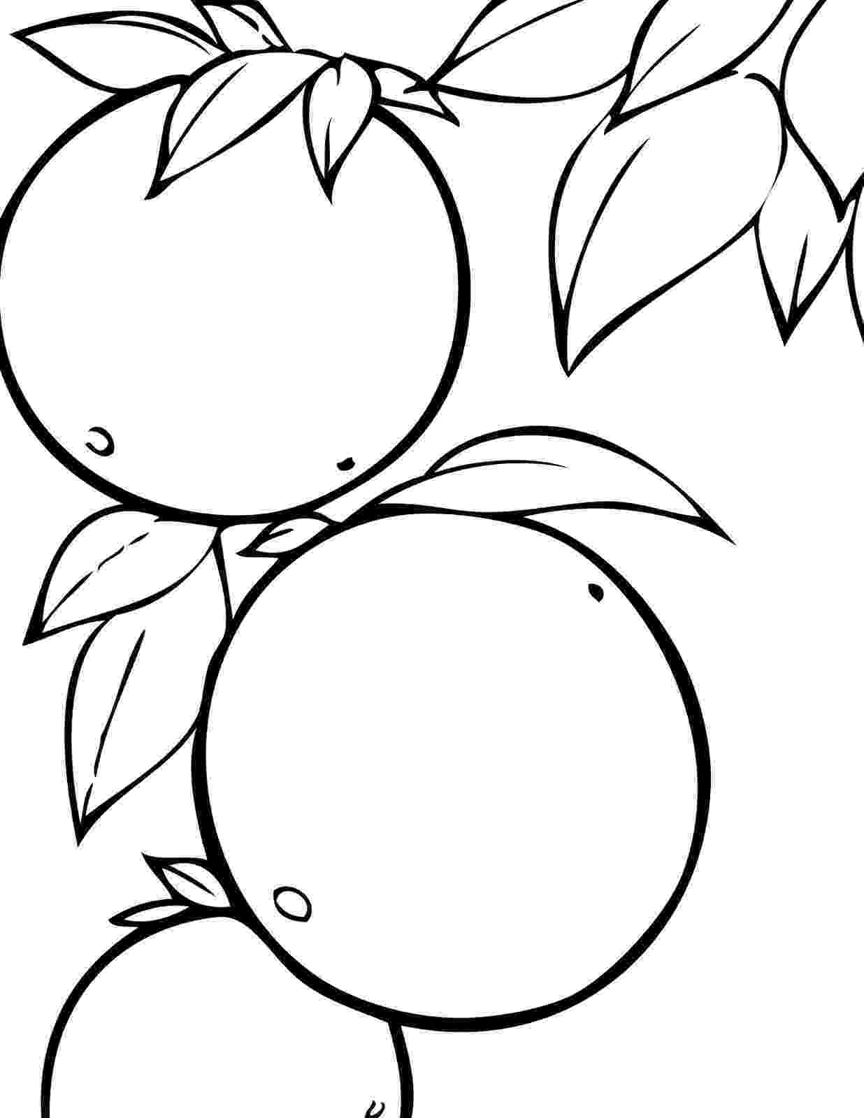 coloring page of a orange orange coloring pages of coloring a orange page 