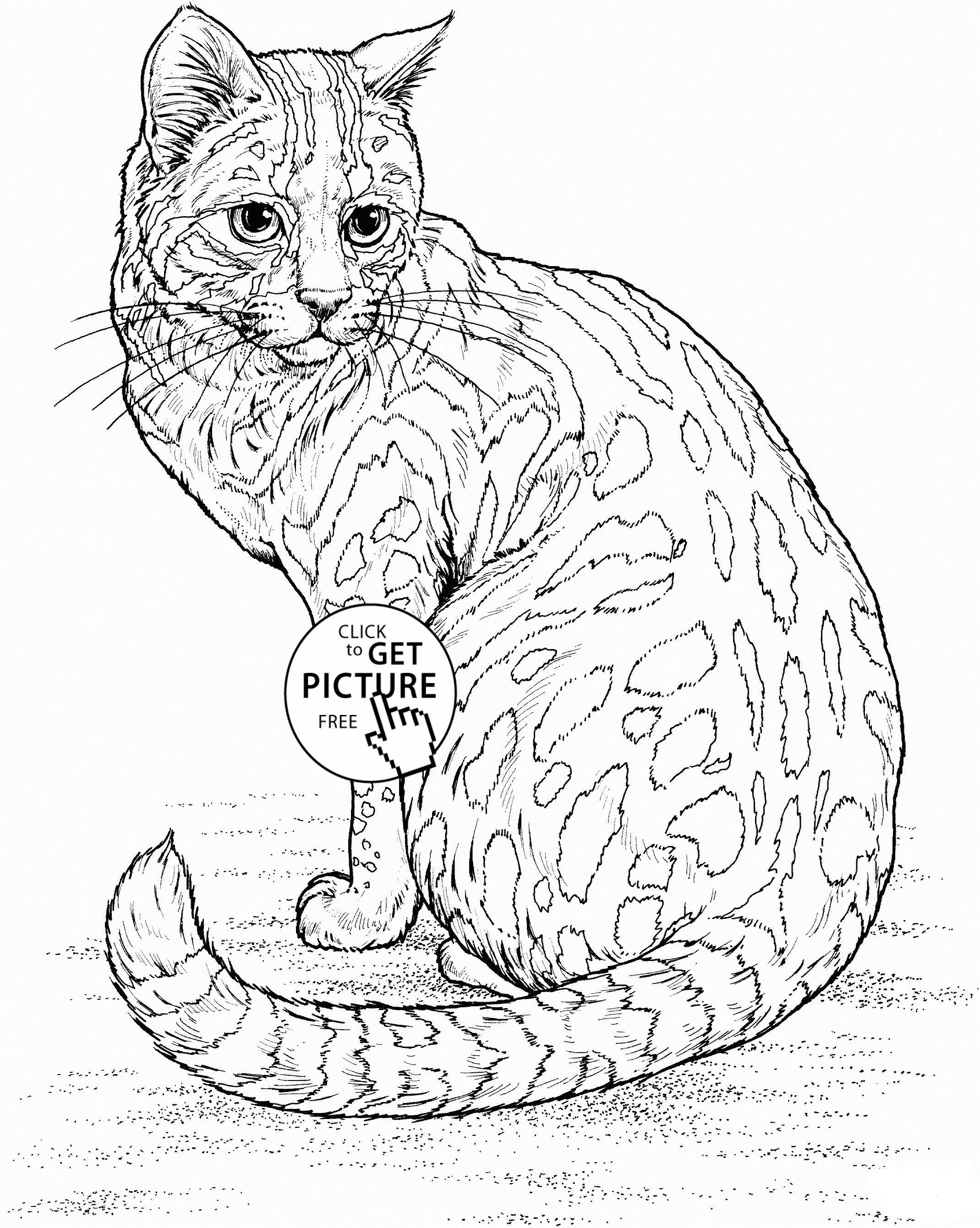 coloring pages animals realistic realistic cat coloring page for kids animal coloring realistic coloring pages animals 