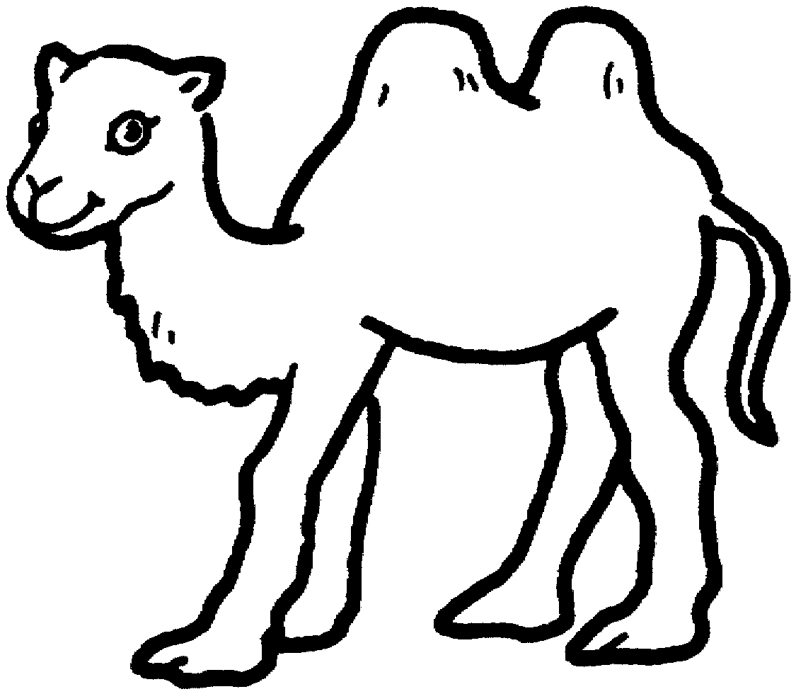 coloring pages camel camel coloring pages for students preschool and kindergarten camel pages coloring 