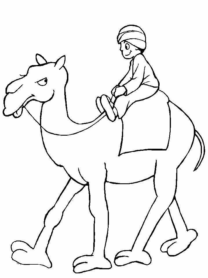 coloring pages camel camel coloring pages to download and print for free camel coloring pages 